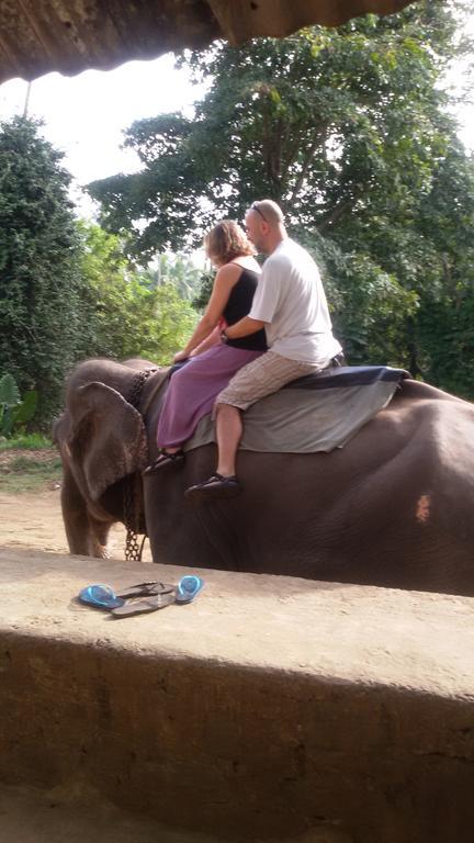 Suwani Pinnawala Homestay Dış mekan fotoğraf