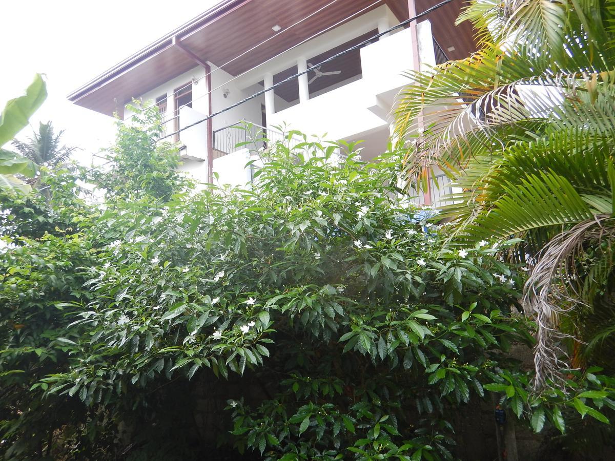 Suwani Pinnawala Homestay Dış mekan fotoğraf